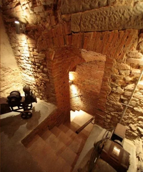 MUSEO-OK-230-e1610983596934