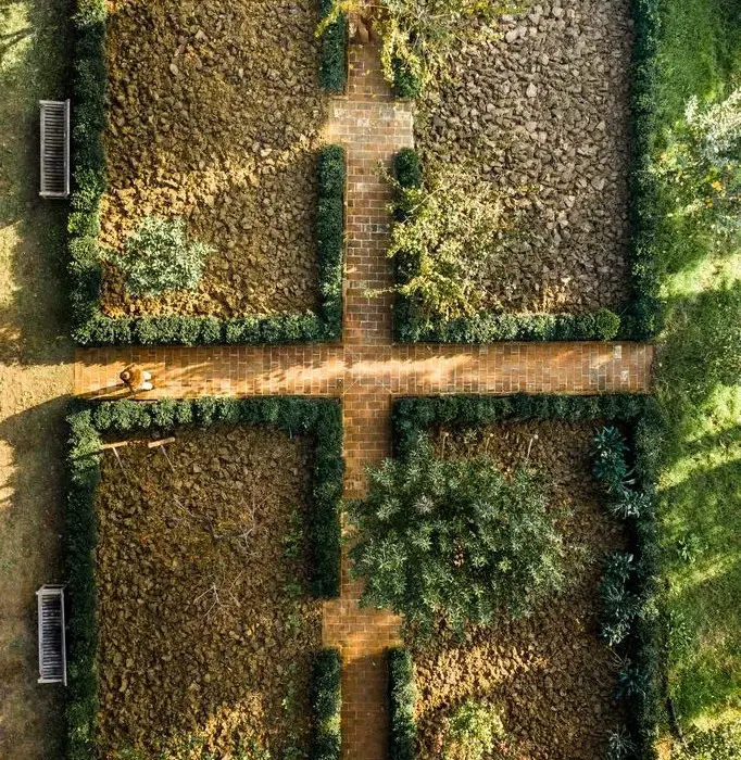 ORTO-OK-245-e1611072248177