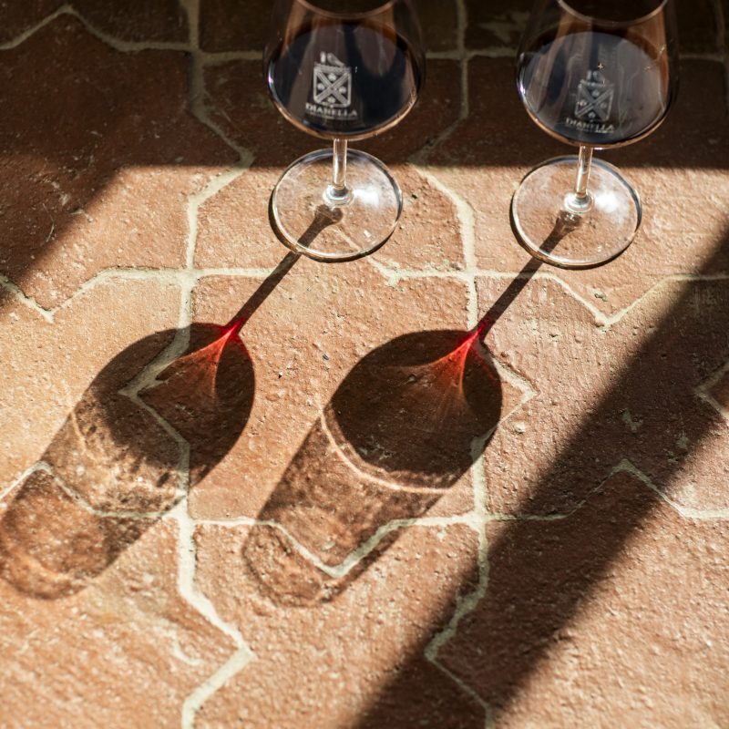Villa Dianella wine resort a Vinci, Toscana