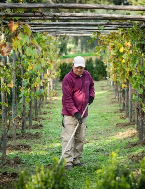 VIGNA-LEONARDO-OK-70