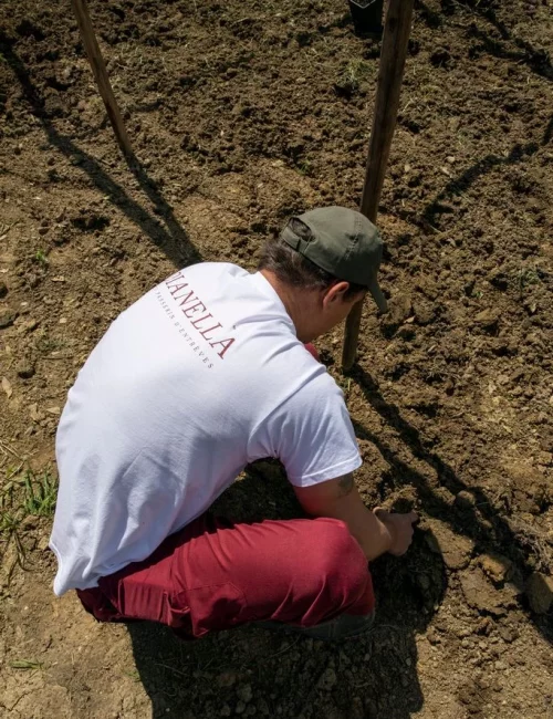 VIGNA-LEONARDO-OK-74