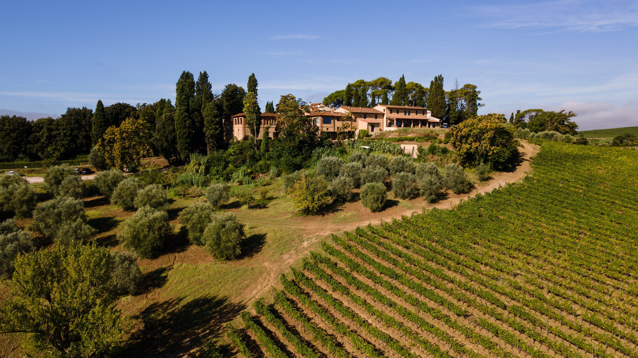 La villa tra i vigneti di Vinci