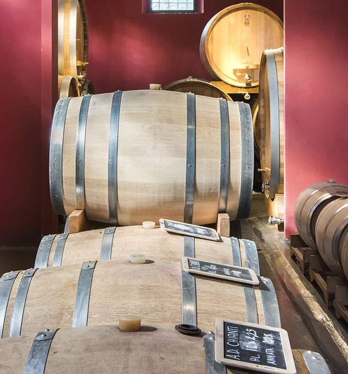 Barricaia della cantina - Villa Dianella Vinci