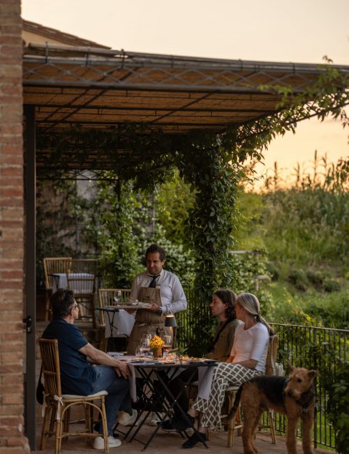 Dianella_mag_141 (1)