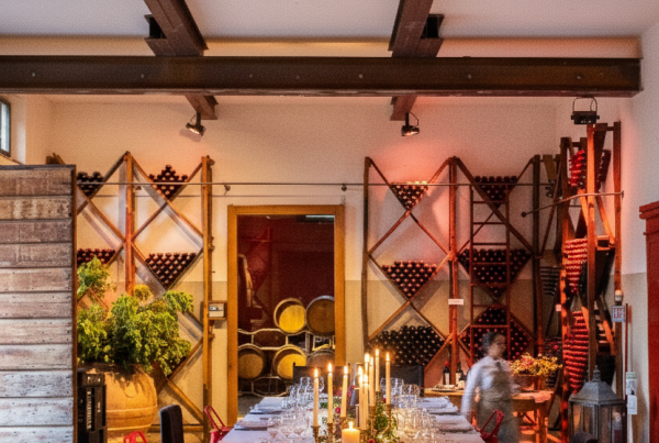 Villa Dianella wine resort a Vinci, Toscana