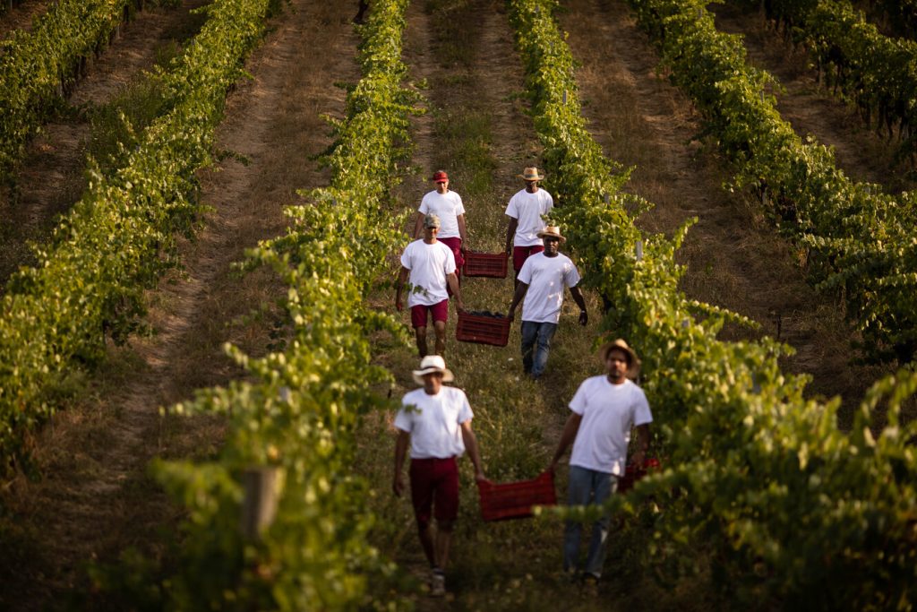 0a38a25c51c076ed536acd0eee5e1afd