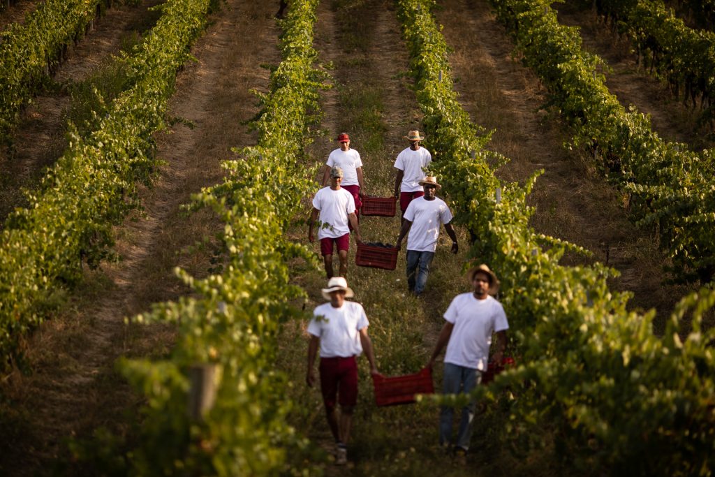 c63e747e461f280b7759210b1752eafb