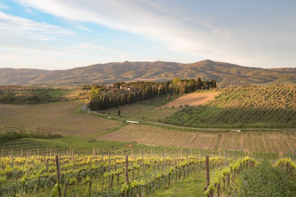 Villa Dianella wine resort a Vinci, Toscana