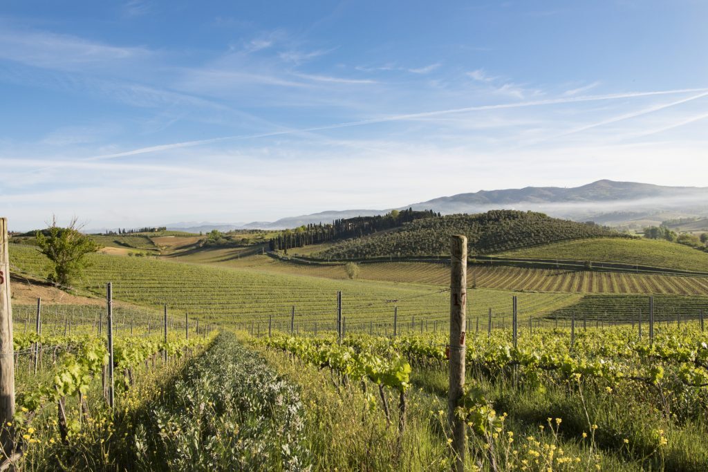 Villa Dianella wine resort a Vinci, Toscana