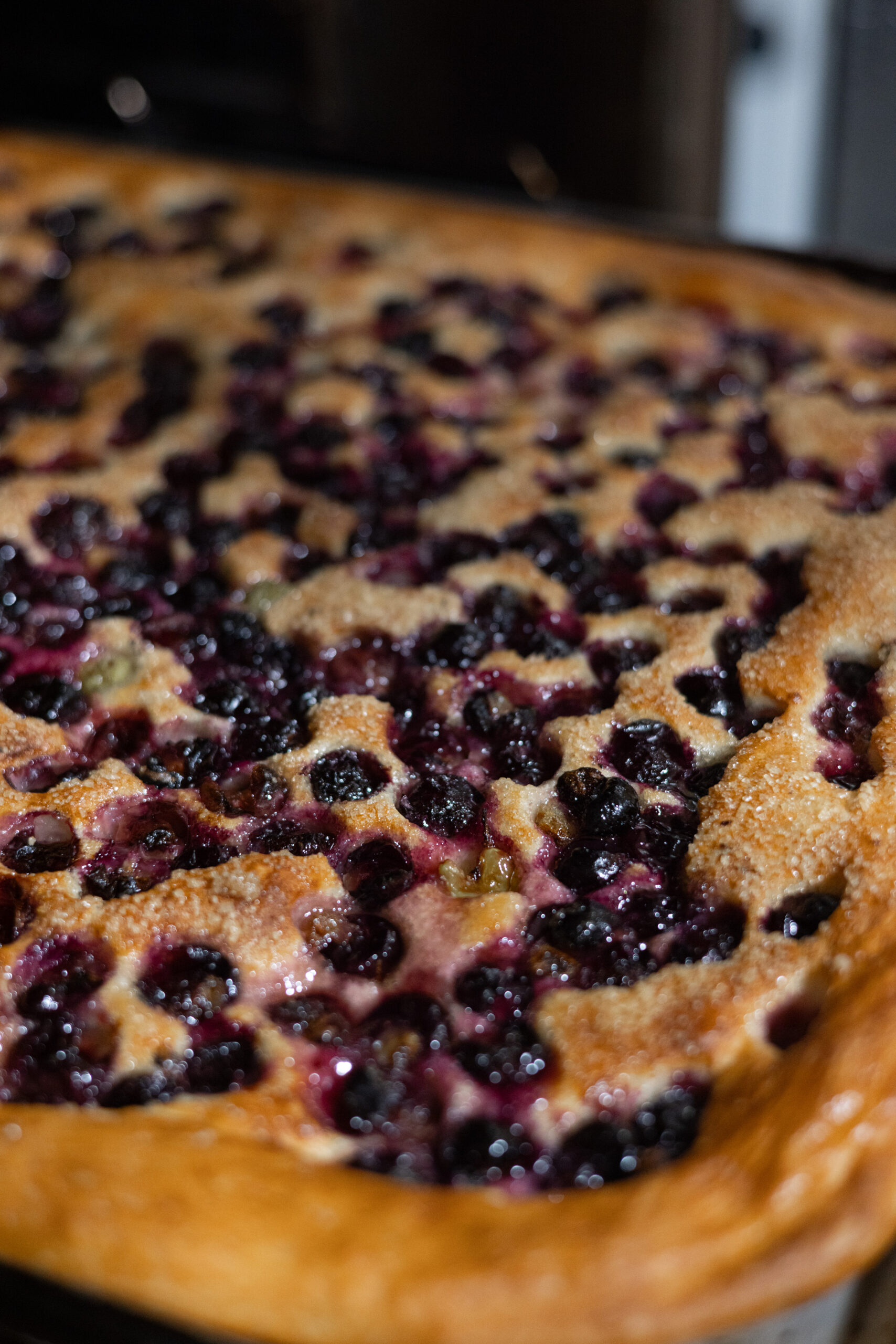 Strawberry-grape schiacciata fresh out of the oven at Bistrot delle Scuderie, Villa Dianella