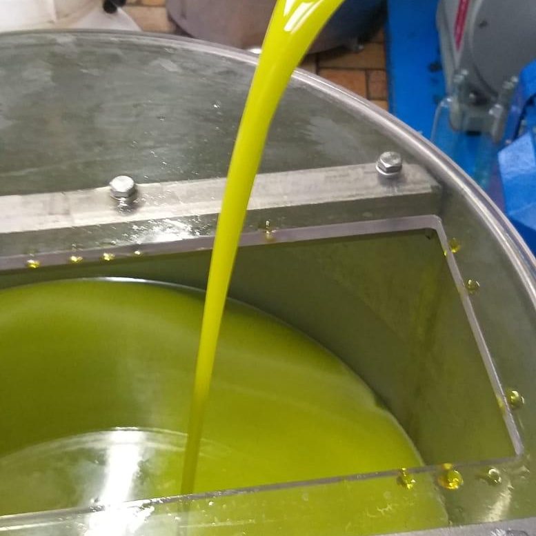 L'olio extravergine di Villa Dianella appena franto