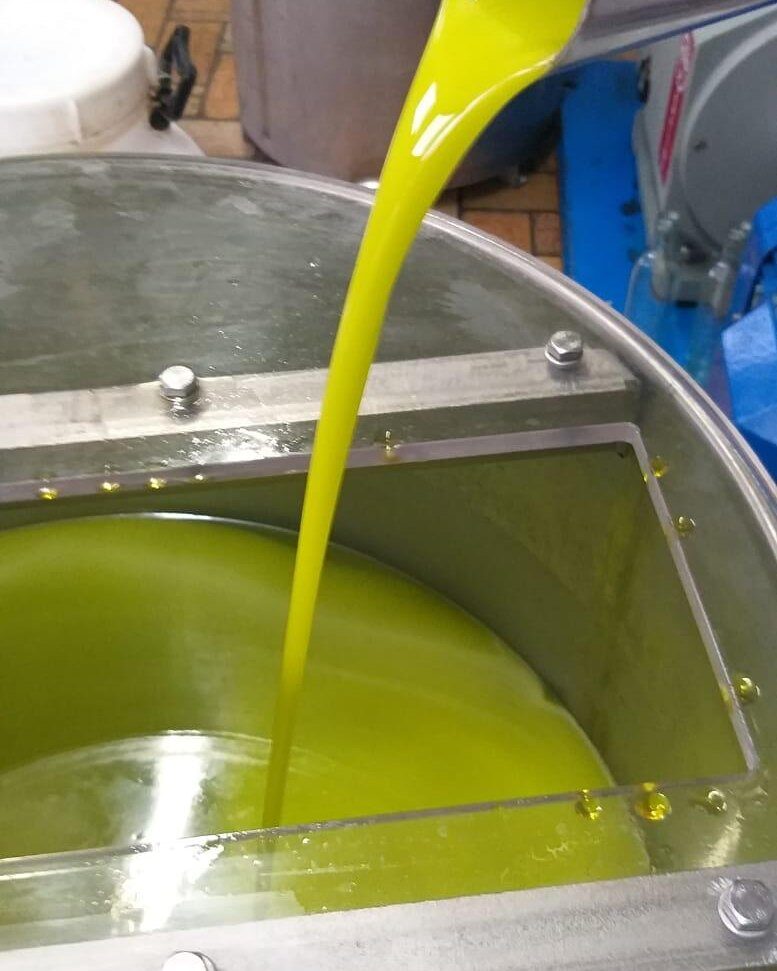 Olio nuovo 2026 appena franto