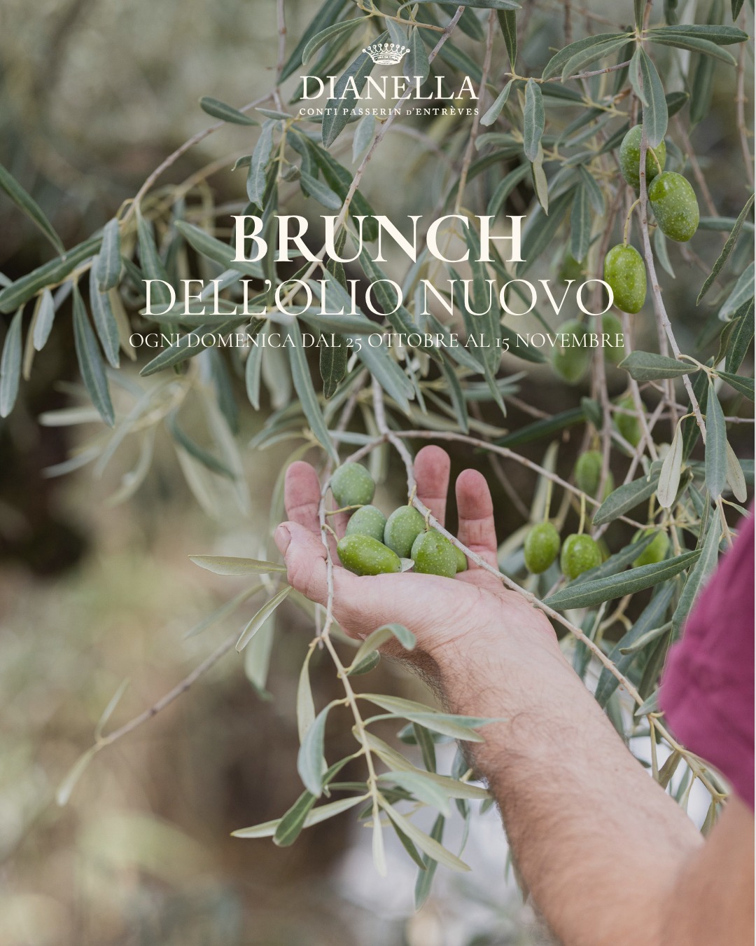 Locandina del Brunch dell’Olio Nuovo: ogni domenica dal 25 ottobre al 15 novembre